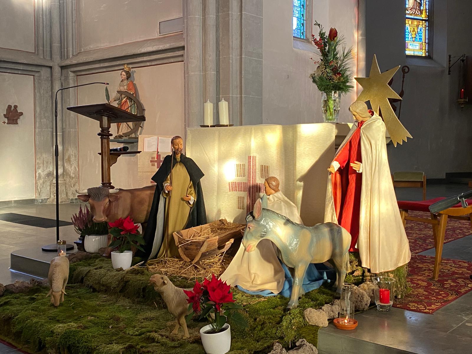 2468c92f-60bc-4799-9c5c-6a77f22d1247